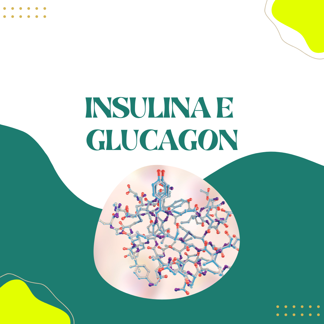 Qual a função da insulina e do glucagon? Cursau Educação - Blog