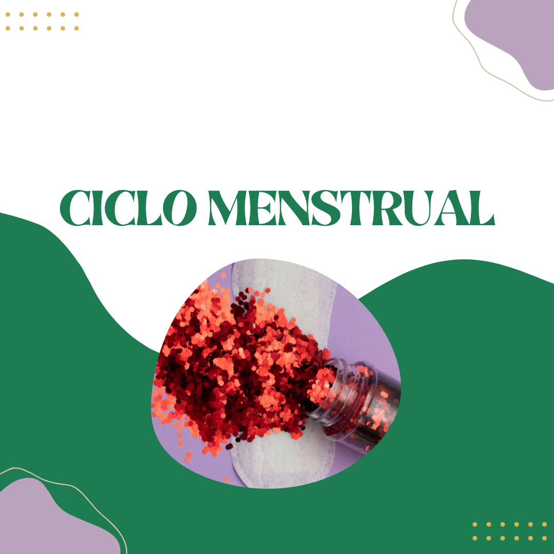 Ciclo Menstrual Entenda As Fases Cursau Educação Blog 3252