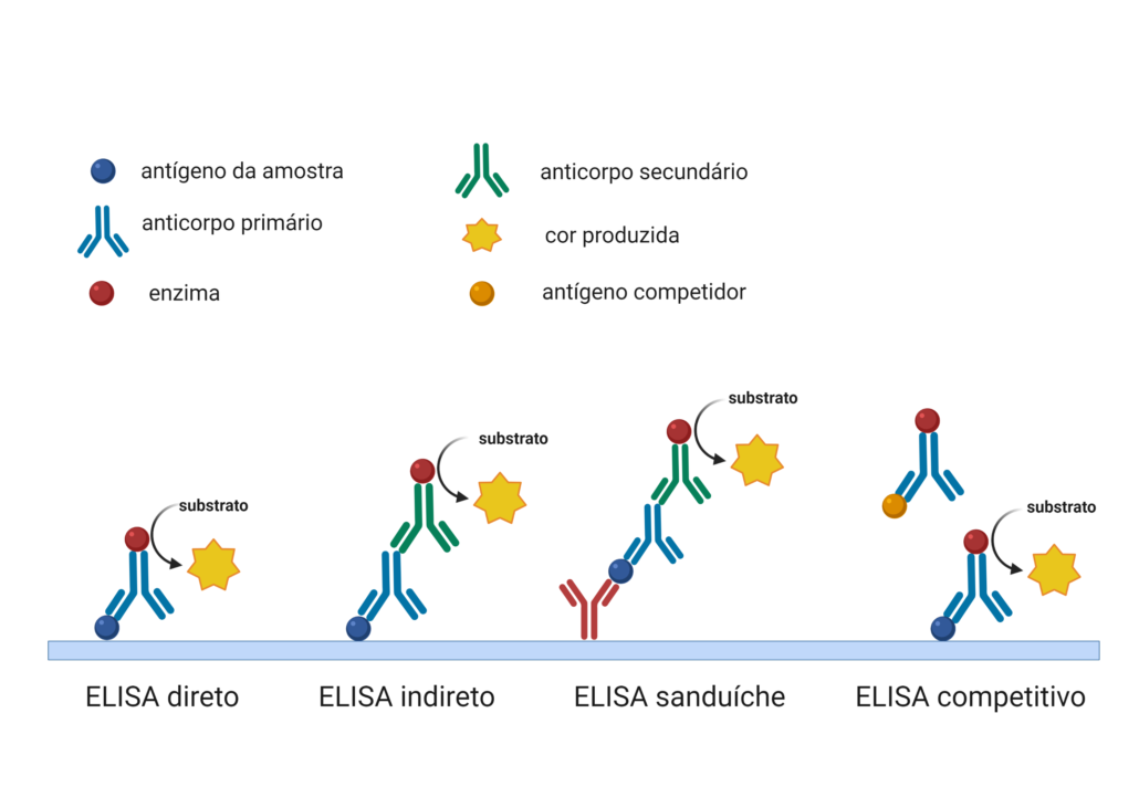 a imagem ilustra os tipos de ELISA, mostrando os componentes de cada tipo e o princípio básico.