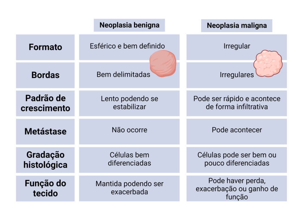 a imagem mostra uma tabela que destaca as diferenças entre o tumor benigno e maligno