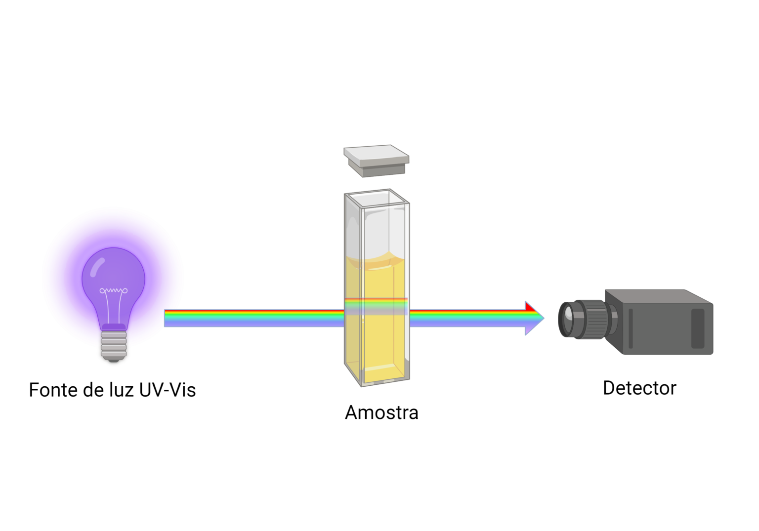 O que é e como funciona a espectrofotometria?