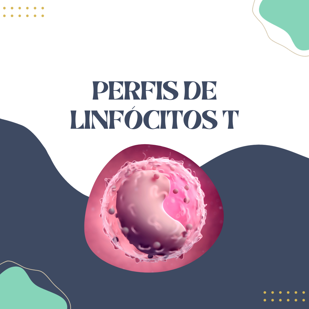 Quais São Os Perfis De Linfócitos T Cursau Educação Blog