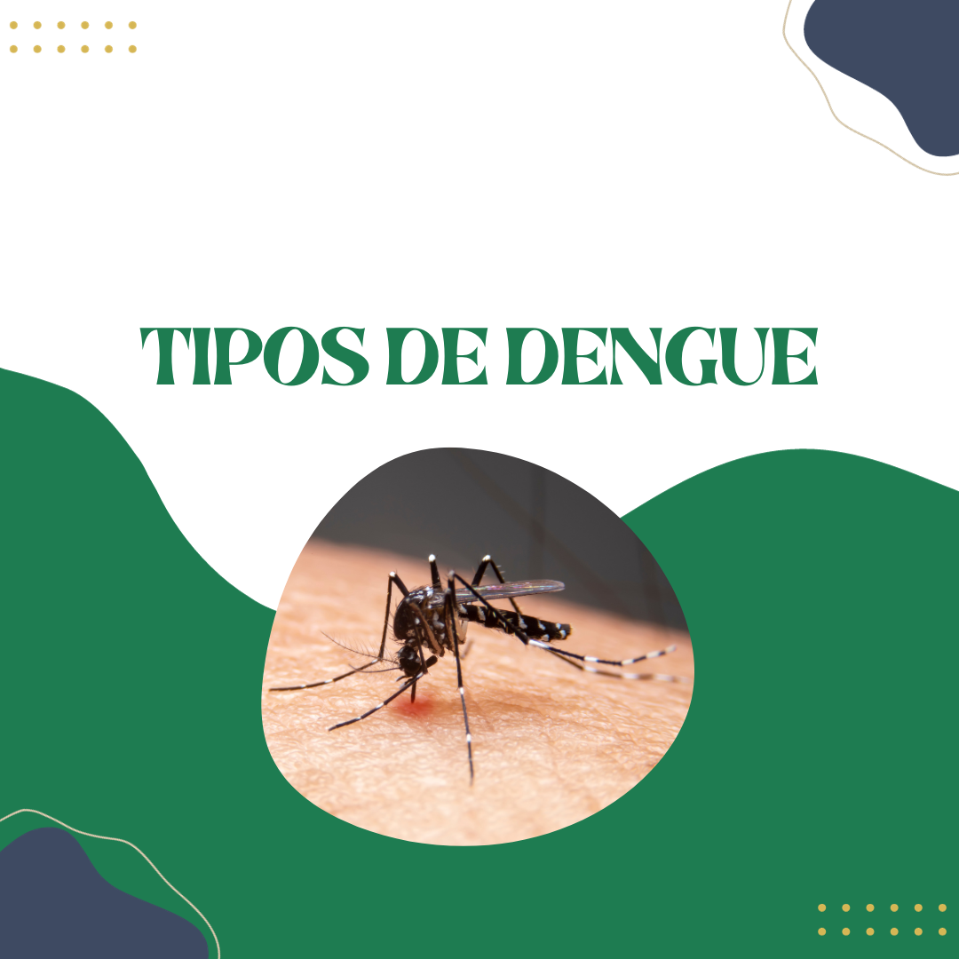 Existem Diferentes Tipos De Dengue Cursau Educação Blog