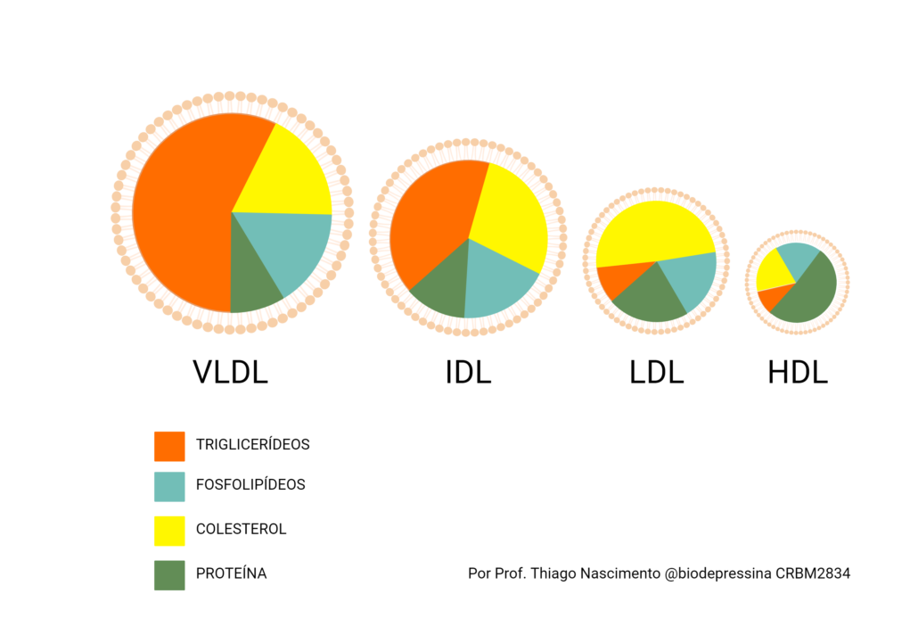 a imagem mostra a composição das lipoproteinas e como calcular VLDL