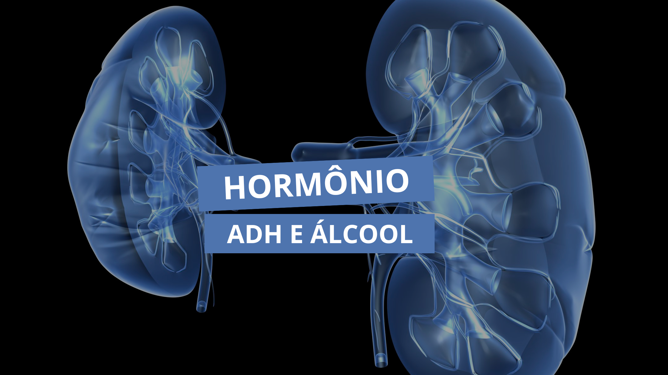 Como o álcool interfere no hormônio ADH?