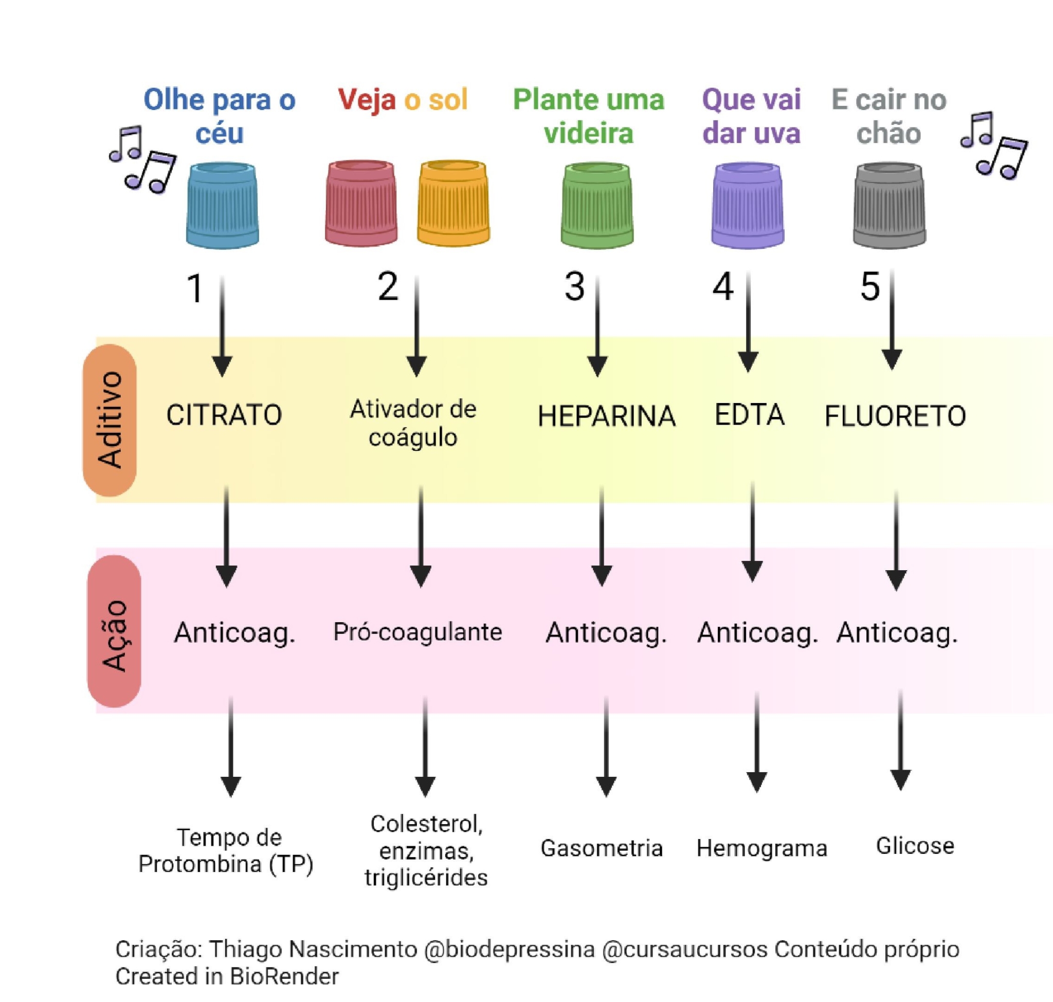 Tubos de coleta e seus anticoagulantes - RESUMO DE TUBOS E SEUS ANTICOAGULANTES Imagens 0 2048x1949 