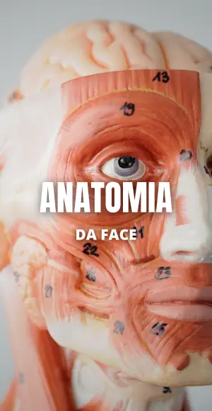 trilha de estetica 5